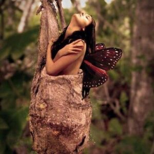 ÚJJÁSZÜLETÉS ELVONULÁS